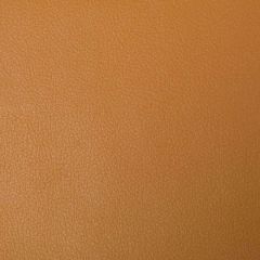 Kravet Smart Yellow Newt 4 Indoor Upholstery Fabric