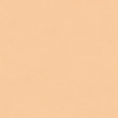 Spirit 502 Coral Sand Contract Marine Automotive and Healthcare Upholstery Fabric