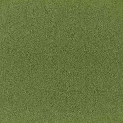 F. Schumacher Palermo Mohair Velvet Grass 64937 Mohair Velvet Collection