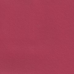 Olympus Raspberry OLY150ADF Multipurpose Upholstery Fabric