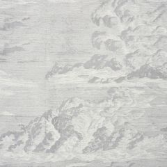 F Schumacher Cloud Toile Fog 177002 Schumacher Classics Collection Indoor Upholstery Fabric
