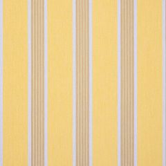 Dickson Manosque Yellow D107 North American Collection Awning / Shade Fabric