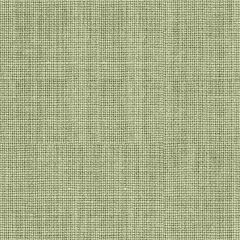 Lee Jofa Lille Linen Oldmint 2017119-15 Perfect Plains Collection Multipurpose Fabric