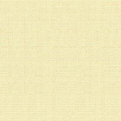 Kravet Enjoy Ecru 34643-1011 Perfect Plains Collection Multipurpose Fabric