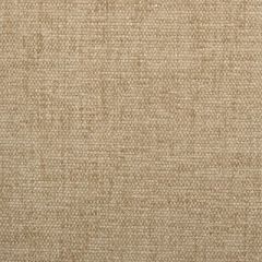 Duralee Tumbleweed 90875-566 Decor Fabric