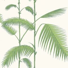 Cole and Son Palm Green / White 95-1009 Contemporary Restyled Collection Wall Covering