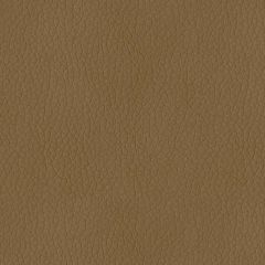 ABBEYSHEA Premier 608 Sandstone Indoor Upholstery Fabric
