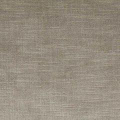 Robert Allen Savoy Platinum 130376 Velvet Luxe Collection Indoor Upholstery Fabric