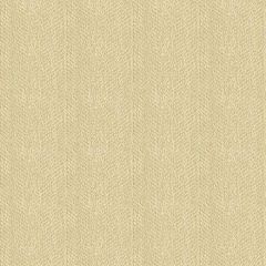 Kravet Contract Beige 33877-1116 Crypton Incase Collection Indoor Upholstery Fabric