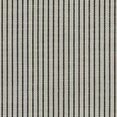 Perennials Tick Tock Stripe Noir 807-16 The Usual Suspects Collection Upholstery Fabric