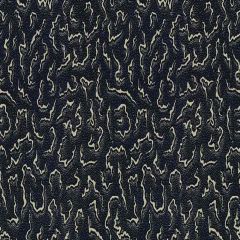 Lee Jofa Modern Eleuthera Indigo GWF-3430-50 Textures Collection Multipurpose Fabric