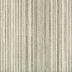 Kravet Design 34989-1615 Crypton Home Indoor Upholstery Fabric