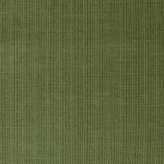 F. Schumacher Antique Strie Velvet Grass 43282 Chroma Collection Indoor Upholstery Fabric