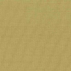 Stout Gorgeous Pear 41 Softer Side Faux Silk Collection Drapery Fabric