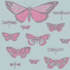 Cole and Son Butterflies and Dragonflies Pink on Blue 103-15062 Whimsical Collection Wall Covering