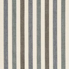 Robert Allen Squire Road-Sea 225332 Decor Upholstery Fabric