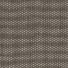 Perennials Rough 'n Rowdy Bronze 955-294 Beyond the Bend Collection Upholstery Fabric