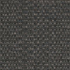 Perennials Wild and Wooly Flannel 976-216 Rodeo Drive Collection Upholstery Fabric