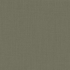 Perennials Rough 'n Rowdy Olive 955-264 Beyond the Bend Collection Upholstery Fabric