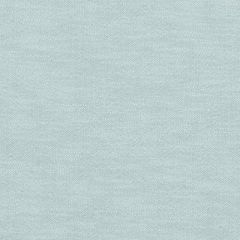 Duralee Turquoise 32760-11 Decor Fabric