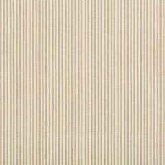 Kravet Basics 35374-106 Performance Indoor Outdoor Collection Upholstery Fabric