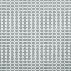 Thibaut Apollo Sterling Grey W80721 Indoor Upholstery Fabric