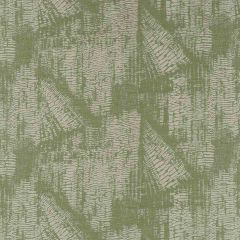 Robert Allen Upscale Lettuce 509369 Epicurean Collection Indoor Upholstery Fabric