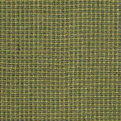 Robert Allen Soft Sublime Zest 221563 Color Library Collection Multipurpose Fabric