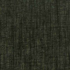 Stout Hennessey Night 14 Welcome Home Collection Multipurpose Fabric