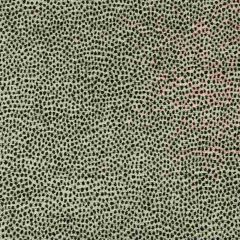 Kravet Design 34971-8 Performance Crypton Home Collection Indoor Upholstery Fabric