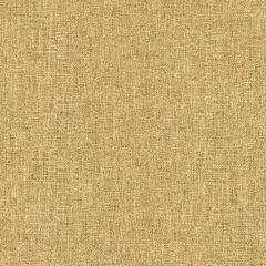 Kravet Basics Tan 34083-1616 Rustic Cottage Collection Multipurpose Fabric