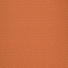 Robert Allen Contract Step Back Persimmon 508465 Value Upholstery Collection Indoor Upholstery Fabric
