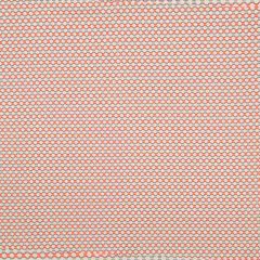 Robert Allen Contract Petal Grid Persimmon Indoor Upholstery Fabric