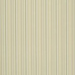 Robert Allen Contract Tailored Edge Citron 508489 Value Upholstery Collection Indoor Upholstery Fabric
