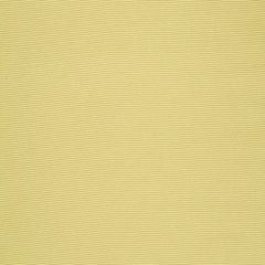 Robert Allen Contract Perimeter Citron 508493 Value Upholstery Collection Indoor Upholstery Fabric