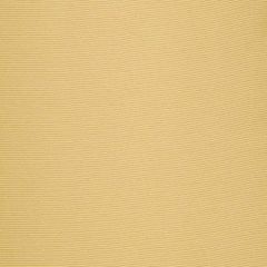 Robert Allen Contract Perimeter Lemon 508495 Value Upholstery Collection Indoor Upholstery Fabric