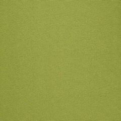 Robert Allen Contract Perimeter Lime 508496 Value Upholstery Collection Indoor Upholstery Fabric