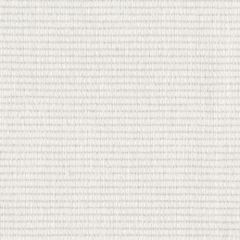 Perennials Hurly-Burly Blanca 979-28 Suit Yourself Collection Upholstery Fabric