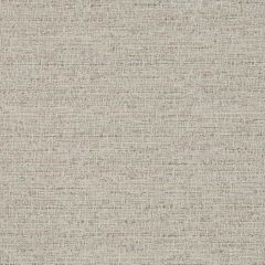 Robert Allen Simply Slubbed Oyster Color Library Collection Indoor Upholstery Fabric