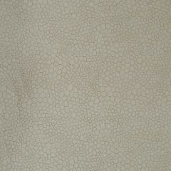 Robert Allen Bubble Play Oyster Color Library Collection Indoor Upholstery Fabric
