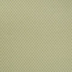 Robert Allen Beni Berber Lettuce Color Library Collection Indoor Upholstery Fabric