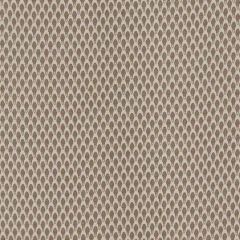 Robert Allen Distant Hills Truffle 508660 Epicurean Collection Indoor Upholstery Fabric