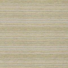 Robert Allen Touch Of Glitz Lettuce 508703 Epicurean Collection Indoor Upholstery Fabric