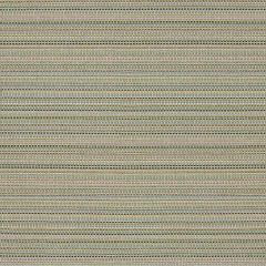 Robert Allen Bramble Weave Lettuce Color Library Collection Indoor Upholstery Fabric