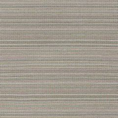 Robert Allen Bramble Weave Truffle Color Library Collection Indoor Upholstery Fabric