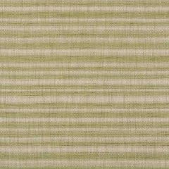 F Schumacher Petra Stripe Grass 73362 Au Naturel Collection Indoor Upholstery Fabric