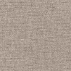 Robert Allen Rustic Boucle Truffle Color Library Collection Indoor Upholstery Fabric