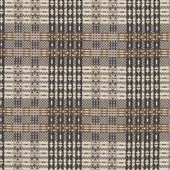 Highland Court HU16250 Cocoa / Silver 718 Indoor Upholstery Fabric