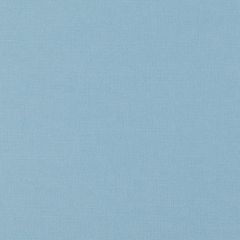 F. Schumacher Langham Bluebell 69638 Perfect Basics: Stonewashed Union Cloth