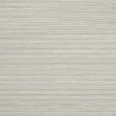 Robert Allen Contract Adorn Solid Platinum Indoor Upholstery Fabric